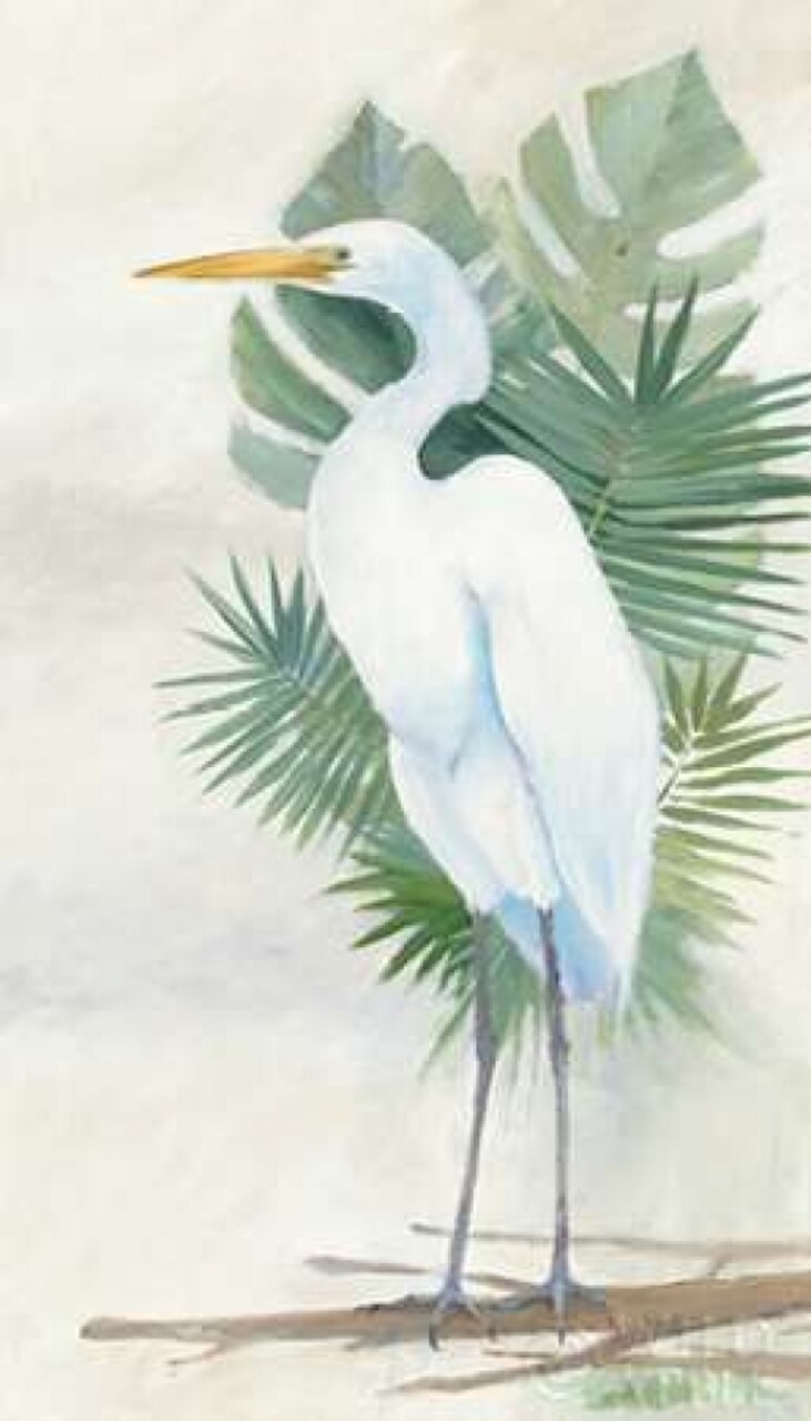 Standing Egret II Crop Poster Print by Avery Tillmon - Item # VARPDX27117